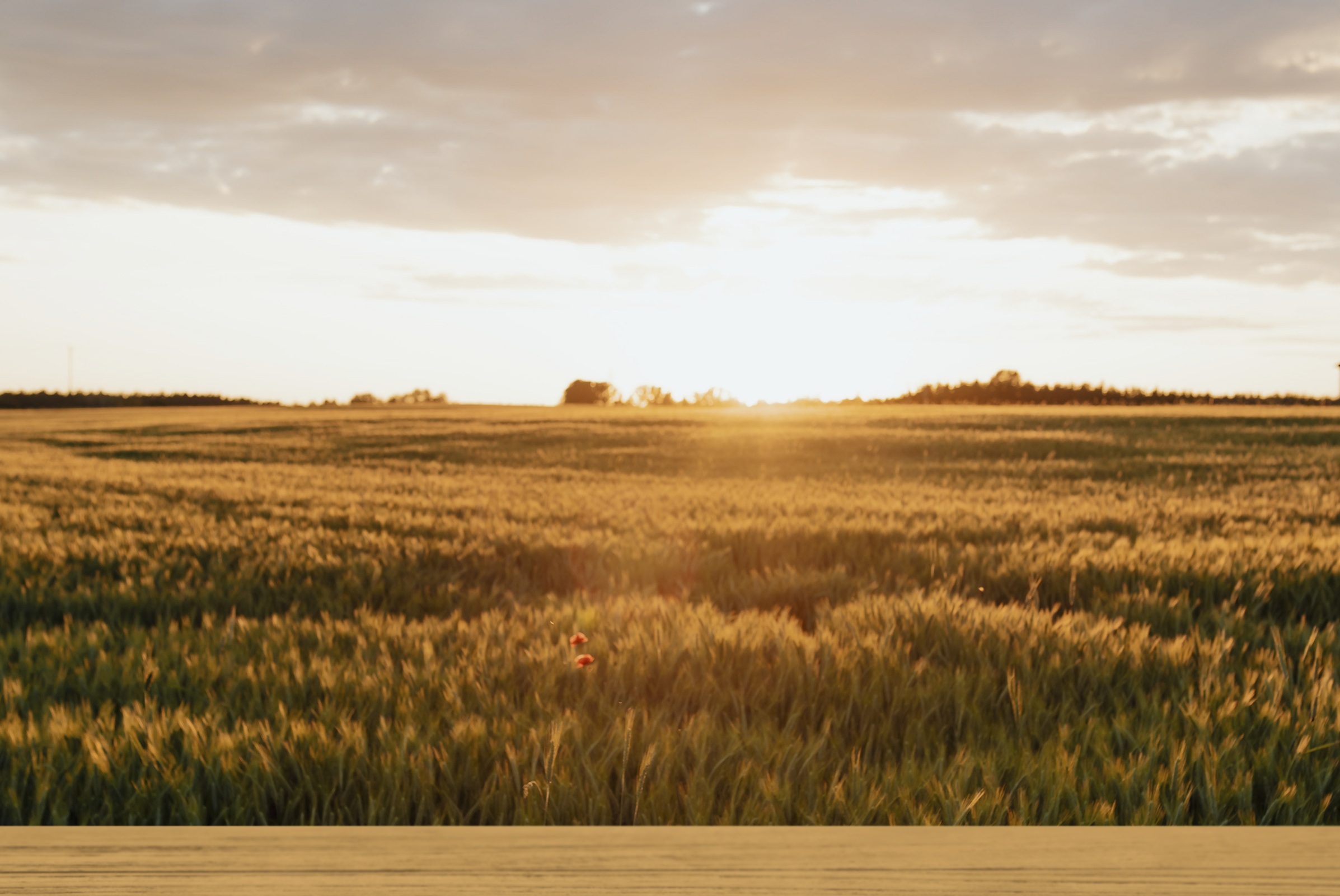 Empty boxes for produce packing and transport